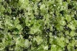 Peridot Crystals in Basalt - Arizona #355061-1